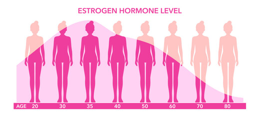 Estrogen hormone level graphic diagram with women body silhouette. Hormone level and age data vector illustration.