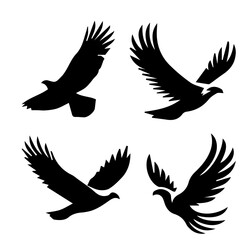 Soaring