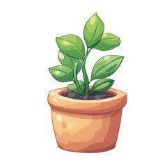 plant in flowerpot