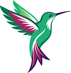 A Flying Hummingbird vector & illustration Eps 1o,World smallest  birds 
