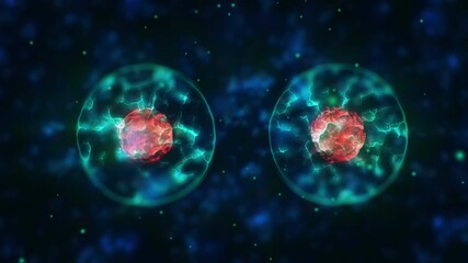 Medical, microscope cell division or science for research in mitosis, growth or duplicate. Biotechnology, innovation or bacteria evolution in binary fission for medicine development or microbiology - Powered by Adobe