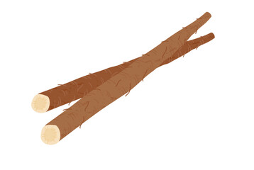 ゴボウの手描き風イラスト