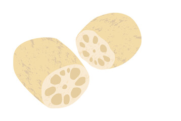 れんこんの手描き風イラスト
