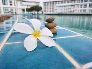 Stone and flower spa concept