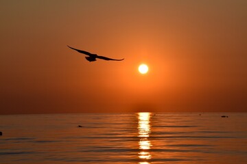 sunset over the sea