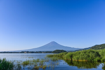 山梨県河口湖と富士山