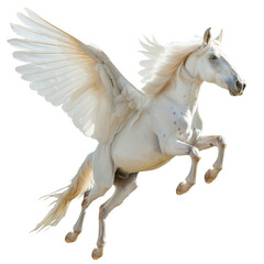 Majestic white winged horse, Pegasus, in flight, cut out