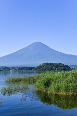 山梨県河口湖と富士山