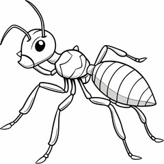  Ant line art vector illustration 