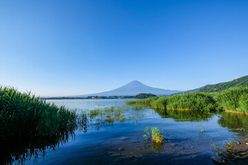 山梨県河口湖と富士山