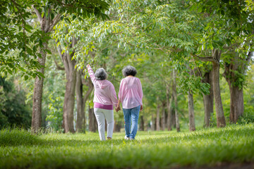 Two Elderly Women Walking Hand in Hand Through a Tree-Lined Park, Celebrating Friendship and Nature