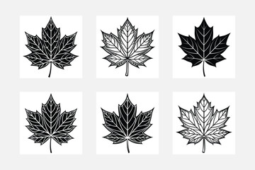 Silhouette of the maple leaf black doodle set white background artwork design
