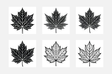 Exploring silhouette of the maple leaf black doodle set white background artwork

