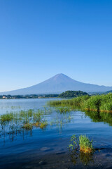 山梨県河口湖と富士山