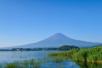 山梨県河口湖と富士山
