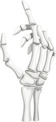 Skeleton hand gesture, isolated vector skeletal arm, stripped of flesh and muscle, reveals the intricate structure of bones, joints, and delicate phalanges, a testament to the human body complexity
