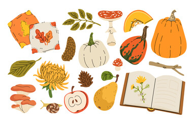 Cute autumn elements, pumpkin, warm clothes, blanket and scarf. Hand drawn fall season design element, acorns with leaves, mushrooms and berries, cozy doodle sticker vector set