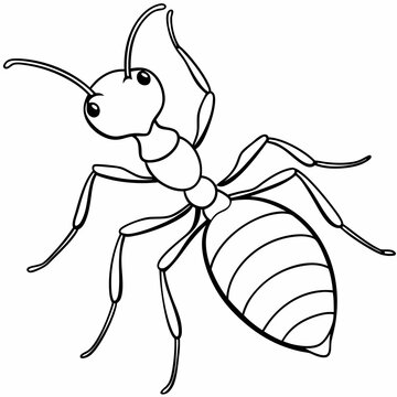 recommend clip art:  Ant line art vector illustration 