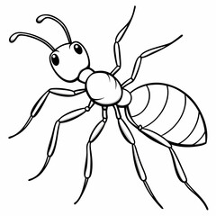  Ant line art vector illustration 