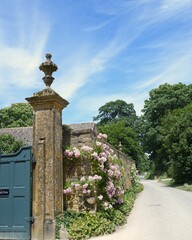 イギリスコツウォルズ地区に素敵なヒドコート・マナー・ガーデンの入り口に満開なピング色のバラの花