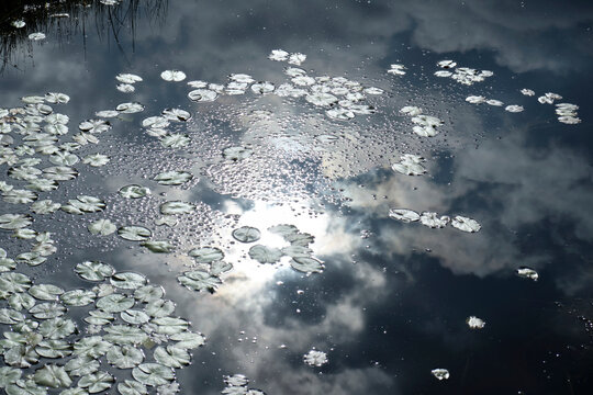 水に反射した幻想的な風景