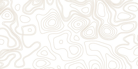 Trendy modern Topographic contour line map background and texture vector. 3D Cartography concept  background.