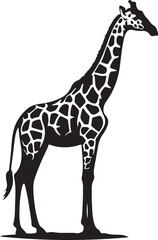 Naklejka premium Zarif vector silhouette image 