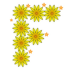 yellow flower with f letter