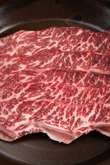 raw meat with plated bones