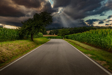 Road in the countryside between corn fields under a dramatic sky.