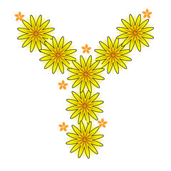 sunflower alphabet isolated in yellow color