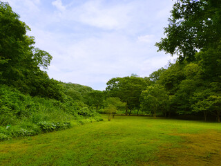 森と広場の風景