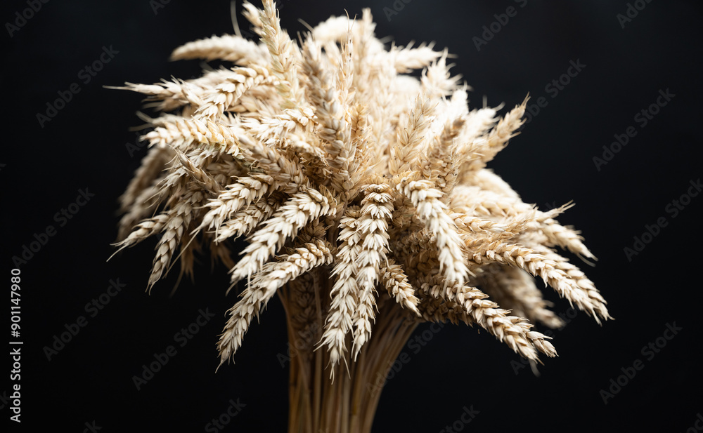 Wall mural sheaf of wheat