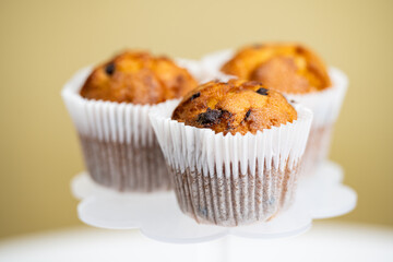 cupcake with chocolate drops