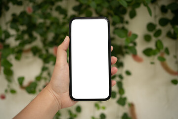 Cropped shot view of Women's hands holding cell telephone blank copy space screen. smart phone with technology concept