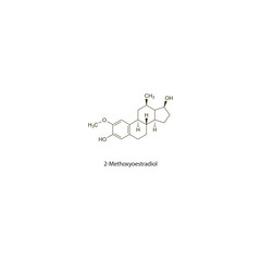 2-Methoxyoestradiol flat skeletal molecular structure Antiestrogen drug used in breast cancer treatment. Vector illustration scientific diagram.