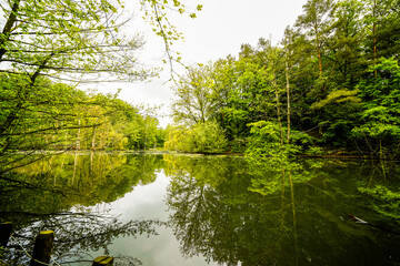 Hexenteich near Menden. Idyllic small pond with green nature in the Sauerland.
