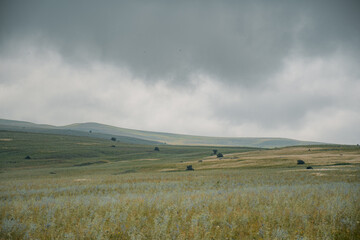 Fototapeta premium clouds over the field