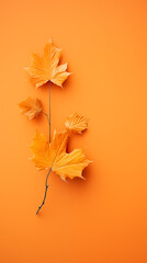 Autumn wallpaper background.