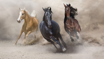 Horses galloping in dust