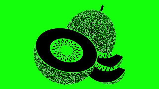 cantaloupe illustration video animation ripe tree juicy silhouette melon logo fruit icon cut tropical nature slice watermelon agriculture food outline sliced plant water for green screen footage