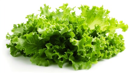 Fresh Crisp Verdant Salad Leaves Isolated On White Background