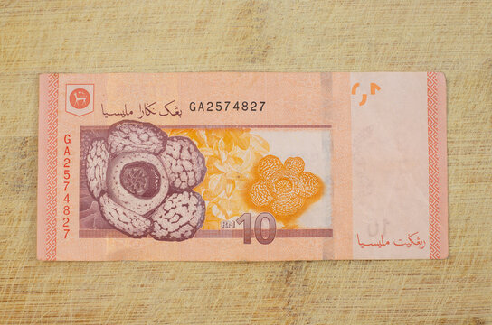 The RM10 note features rafflesia parasitic flowering plants on the back side of ten ringgit banknote.
