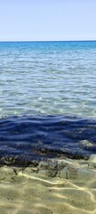 Verschinene Farben des Meeres auf Sardinien