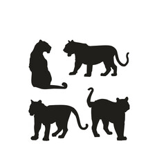 set of silhouettes animals Victor illustration with white background 