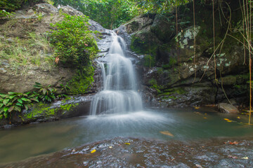 Palalang Waterscape in East Barito Forest