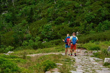 Obraz premium Back view of two hikers with backpacks and trekking poles descending rocky mountain trail. Mountain hiking concept. Active recreation in nature