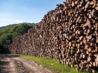 Storage of beech wood in a landfill after harvesting. The wood is stored along the road ready for loading and removal.