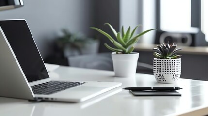 Fototapeta premium A laptop, a notebook, a pen, and two succulents on a white desk.