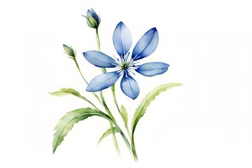 Naklejka premium Watercolor bluet flower on white background, AI Generated